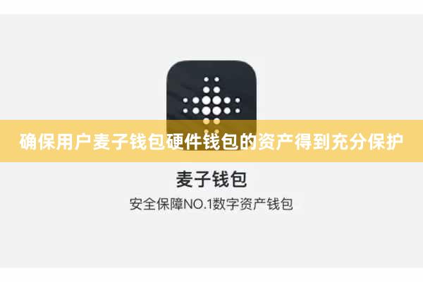 确保用户麦子钱包硬件钱包的资产得到充分保护